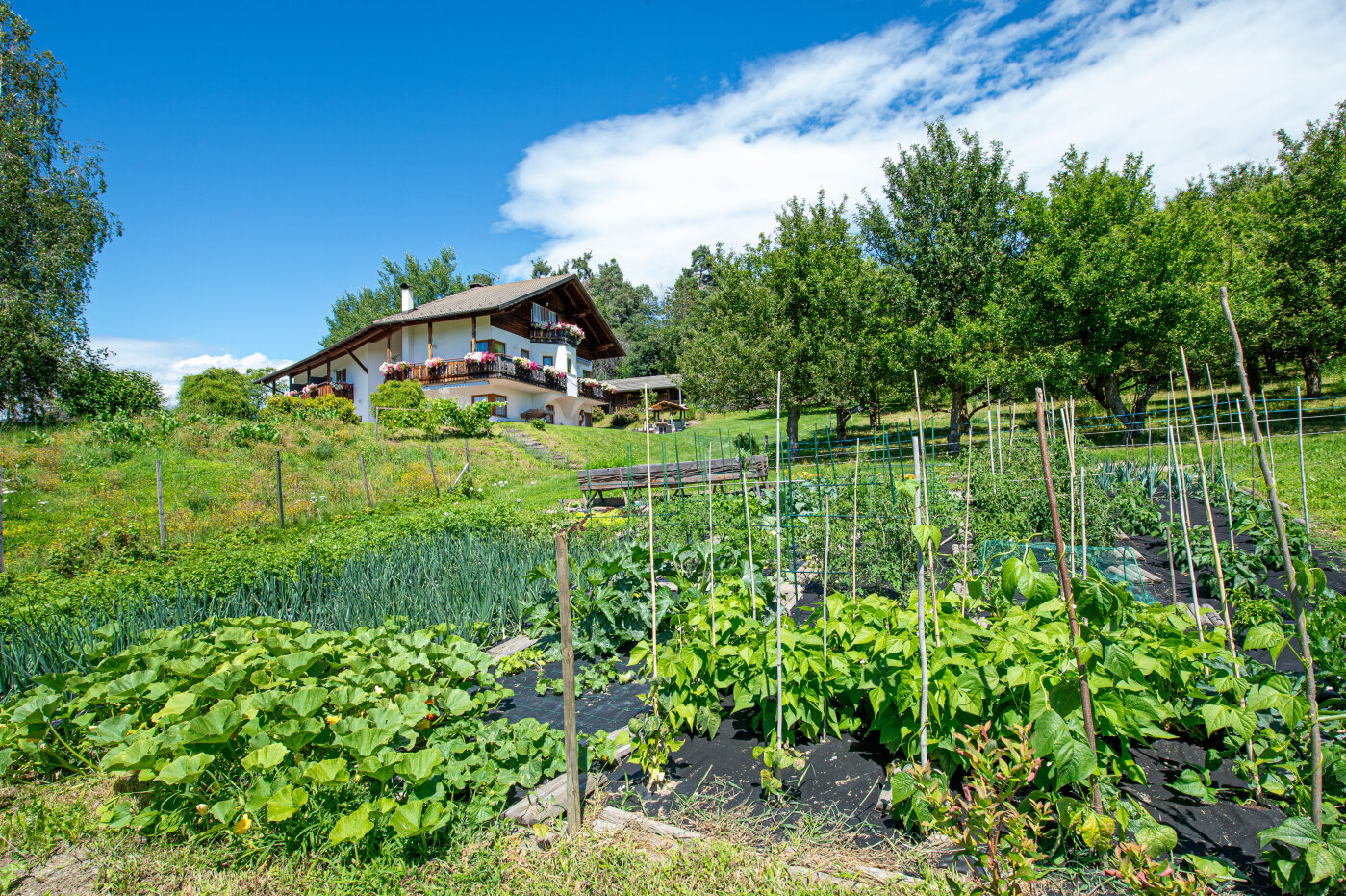 Bonichhof mit Gemüsegarten